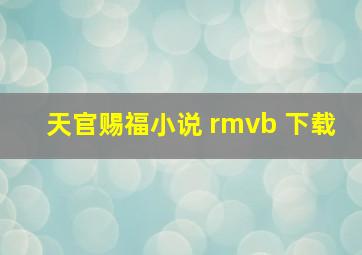 天官赐福小说 rmvb 下载